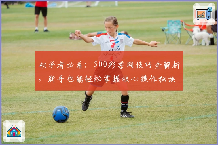 初学者必看：500彩票网技巧全解析，新手也能轻松掌握核心操作秘诀