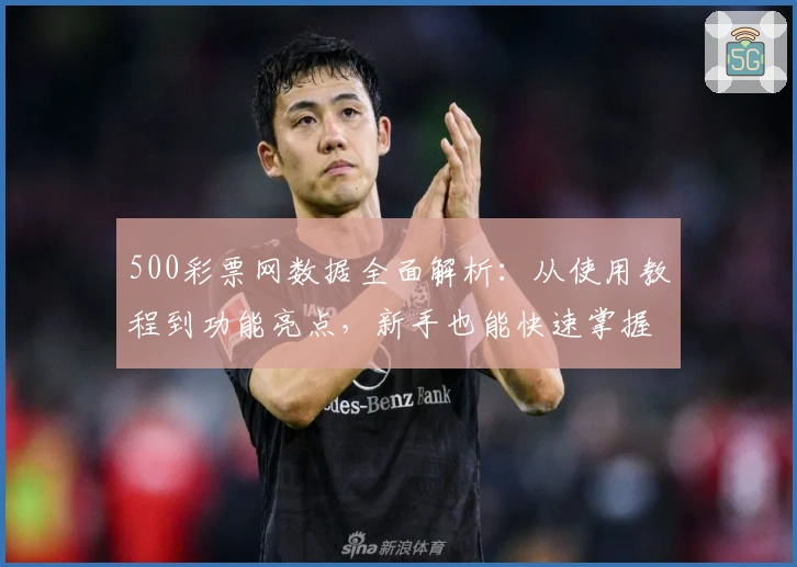 500彩票网数据全面解析：从使用教程到功能亮点，新手也能快速掌握