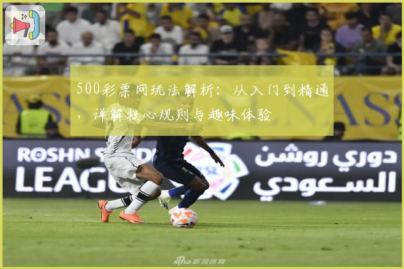 500彩票网玩法解析：从入门到精通，详解核心规则与趣味体验