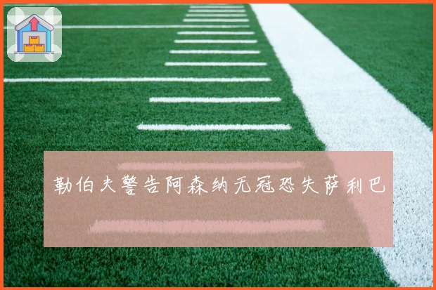 勒伯夫警告阿森纳无冠恐失萨利巴